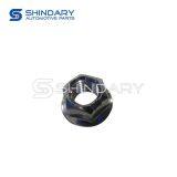 Dongfeng　Engine Hood thumbnail-1