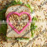 Professional Sieving Machine for Rice / Millet Winnowing Machine for Home Used /cocoa Winnower Machine thumbnail-6