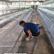 Chicken Cage Buy Chicken Battery Cage From China thumbnail-5