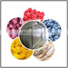 Good Industrial Freezer Fish Machine IQF Quick Freezing Machine Price thumbnail-5