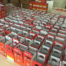 AFO 2025 China 1.3Kgs Automatic Dry Powder Auto Fire Extinguisher For Garment Factory Warehouse thumbnail-4