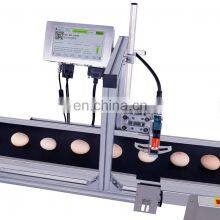 Online Automatic Continuous Coding Machine Printing LOGO Date Batch Number Production Line Egg Inkjet Printer thumbnail-4