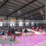 Jining Rich Farmer International Trade Co., Ltd. company overview - view 2 thumbnail