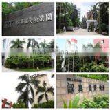 Guangdong PHOMI MCM Co., Ltd. company overview - view 1 thumbnail