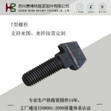 T-bolt T Head Bolts / T-Slot Bolts C1 S1 Clip Rail Nabla Fastening System For KS12 Tie Plate SKL12 Hs32 M22x55 65 M22x156 thumbnail-3