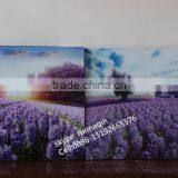 Home Wall Decorative Collage Glass Hanging Frameless Picture Frame thumbnail-2