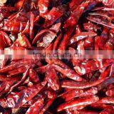 Dry Chili thumbnail-1