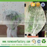 Non Woven Geotextile Bags for Fruit Protection Bsg thumbnail-6