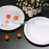 10 inch disposable plastic plates PS