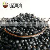 2016 crop black beans with yellow kernel hot sale