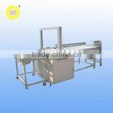 Full-automatic Packaging Machine