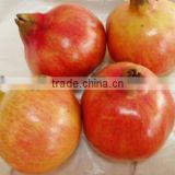 Pomegranate Rind Extract Powder