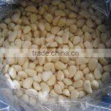 Garlic Cloves in Brine Salted Garlic thumbnail-3