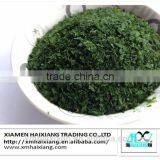 Food Grade Ulva Lactuca Seaweed