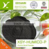 Humic Acid Organic Fertilizer