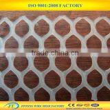 Hexagonal Flexible Plastic Safety Mesh