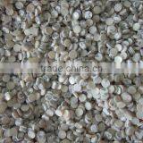 Natural Trocas/trochus Shell Button Blank for Shirt Button Making thumbnail-2