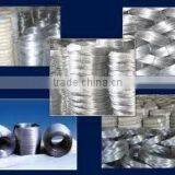 Electro Galvanized Wire