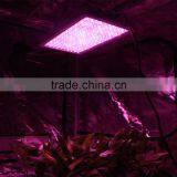 300W 600W 1000W Full Spectrum LED Grow Light for Veg and Flowering thumbnail-6