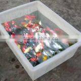 Indoor Aquoponics Hydroponics Fishing Tank With Vegetable Planter thumbnail-4