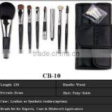 Luxury Cosmetic Brush Set