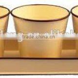 Decorative Windowsill Balcony Metal Herb Flower Pots / Metal Planter thumbnail-3