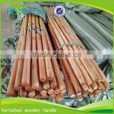 Factory Price 90-180 cm Length Smooth Surface Varnished Stick Rake