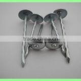 2.5'' Umberlla Roofing Nails, 25kg per Carton/50kg/gunny Bag thumbnail-3