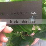 2017 China Hot Sale High Quality Black Cardboard Paper Jeans Hang Tags thumbnail-6