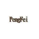 Shenzhen PengFei Science and   Technology Co., Ltd