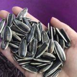 Inner Mongolia Sunflower Seeds thumbnail-1
