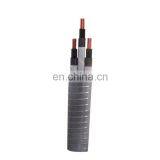 ESP Cable Galvanize Armored Submersible Pump Cable thumbnail-5