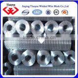 Hot-dipped Galvanized Welded Wire Mesh