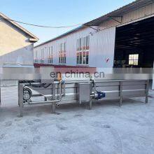 Air Bubble Leafy Automatic Washer Fruit And Vegetable Clean Production Line Vegetable Wash Machine Industry thumbnail-5