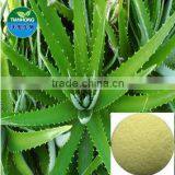 Pure Natural Aloe Vera Extract Gel Freeze Dried Powder Aloin 80%