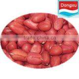 Chinese Red Skin Peanut