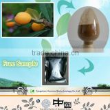 factory supply loquat leaf extract natural maslinic acid