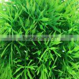 Hot Sale 2015 New Arrival Beautiful Aquarium Plastic Green Seaweed Moss Ball Decoration For Fish Tank thumbnail-5