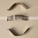 Galvanized Blade Spring thumbnail-1