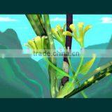 Waterproof Backlit Film