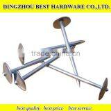 Round Head Roofing Nails With Umbrella thumbnail-1