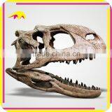 KANO2126 Handmade Vivid Real Size Dinosaur Forssil Skeleton thumbnail-5