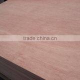 High Quality Dubai Market Commercial Plywood at Wholesale Price thumbnail-2