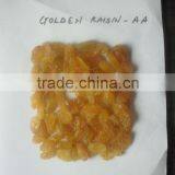 GOLDEN RAISIN (NEW CROP) thumbnail-4