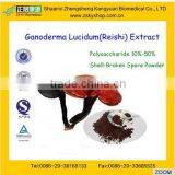 GMP supply high -Quality Wall-broken Ganoderma Lucidum Spore Powder