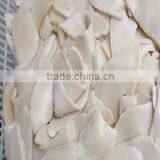 Canned Bailing Mushroom(sliced) thumbnail-1