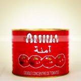 Bright Red Color Good Quality Canned Tomato Paste/ketchup Halal Factory Chinese Manfacturer thumbnail-3
