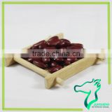 Chinese Dark Red Kidney Bean High Quality New Crop