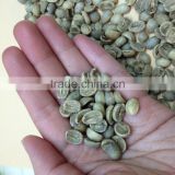Robusta washed Green Coffee Beans with Fairtrade Certification