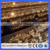 3/4Tiers Poultry Slat Floor Type Cage Chicken Use/chicken Breeding Cage(Guangzhou Factory) thumbnail-2